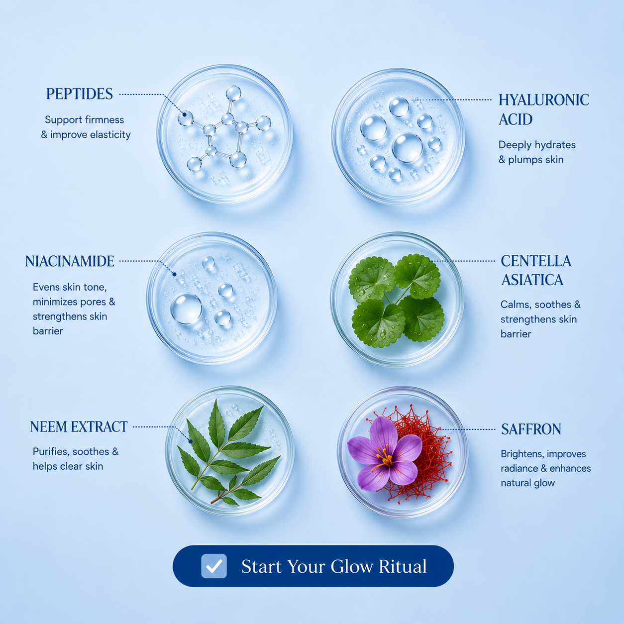 Serum Ingredient